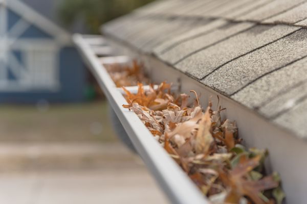 Leaf Barrier Installation in Andover